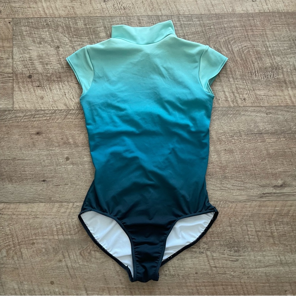 balera woman’s Ombre Aqua-to-Navy Short Sleeve One-Piece